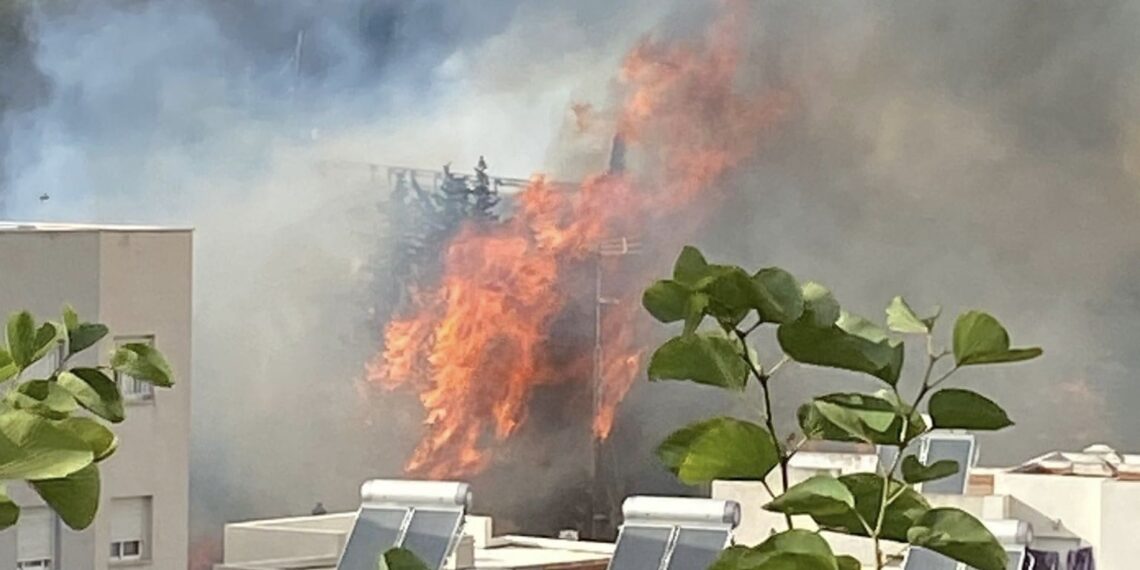 Incendio en la zona de Bello Horizonte en Estepona, en el km 159 de la AP-7