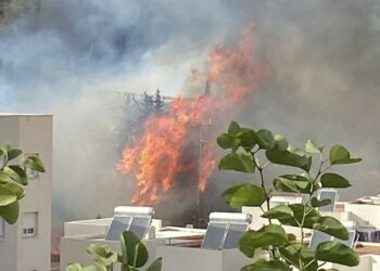 Incendio en la zona de Bello Horizonte en Estepona, en el km 159 de la AP-7