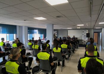 Unas 600 personas fueron sancionadas este año en Marbella por delitos contra la seguridad vial