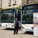 Marbella habilita un servicio extraordinario de transporte urbano para el Día de Todos los Santos