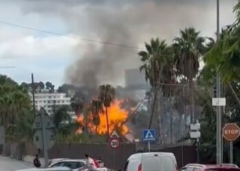 Incendio en Marbella: arden palmeras en el Polígono Industrial de San Pedro