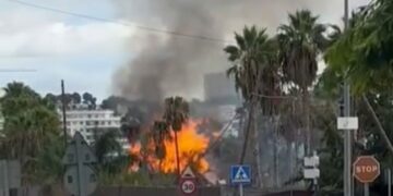 Incendio en Marbella: arden palmeras en el Polígono Industrial de San Pedro