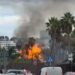 Incendio en Marbella: arden palmeras en el Polígono Industrial de San Pedro