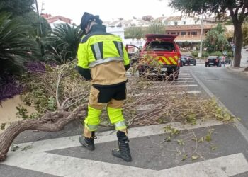 Ayuntamientos anuncian el cierre de parques por las fuertes rachas de viento