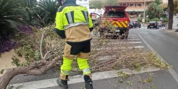 Ayuntamientos anuncian el cierre de parques por las fuertes rachas de viento