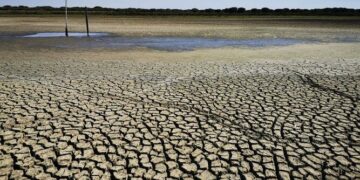 Ecologistas  Sierra Bermeja muestra su preocupación por la sequía y la escasez de agua