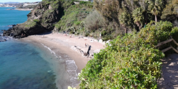 El Ayuntamiento de Benalmádena recuerda que la tala y desbroce en alrededores de Playa Benalnatura son para evitar “situaciones de riesgo”