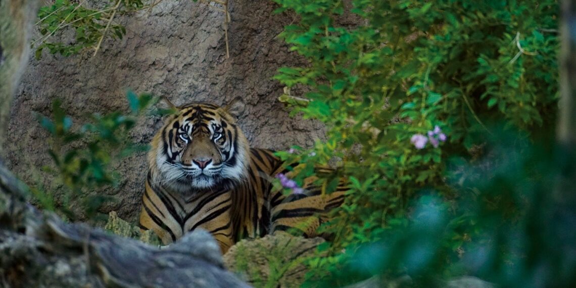 Bioparc Fuengirola incorpora nuevas actividades gratuitas a la temporada de otoño para aprender sobre naturaleza