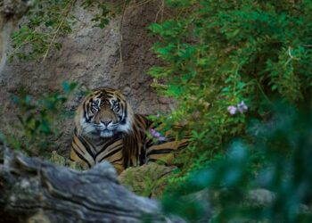 Bioparc Fuengirola incorpora nuevas actividades gratuitas a la temporada de otoño para aprender sobre naturaleza