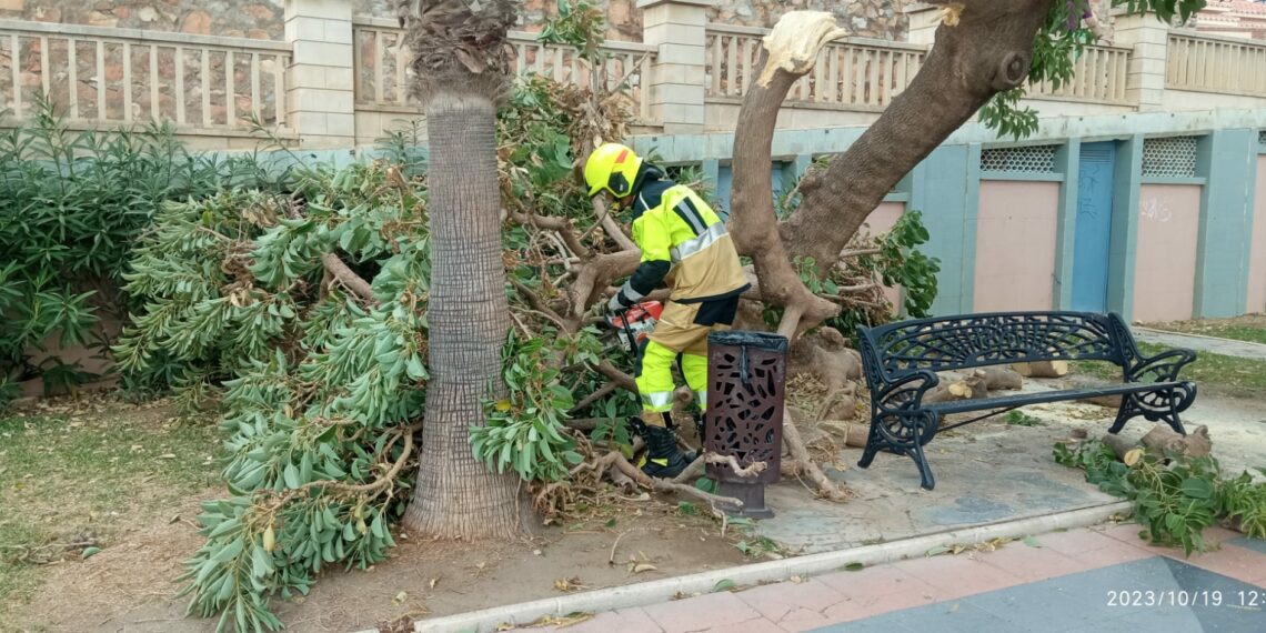 Bomberos de Benalmádena intervienen en varias incidencias causadas por el viento