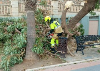 Bomberos de Benalmádena intervienen en varias incidencias causadas por el viento