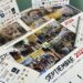Botika Neurocognitiva presenta su Calendario Solidario 2024