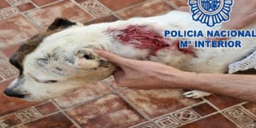 Detenido por apuñalar al perro de su vecino por un conflicto previo