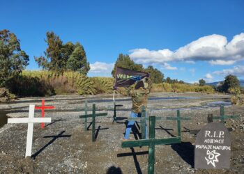 Denuncian ante la Unión Europea la «destrucción» del río Guadiaro
