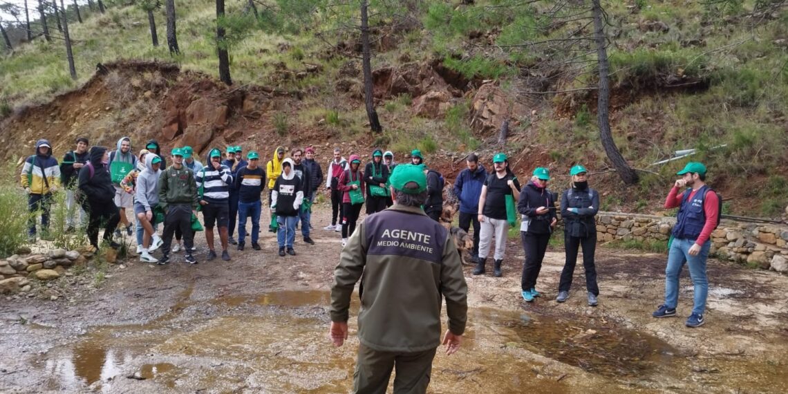 Unos 2.500 voluntarios comienzan otras fase de reforestación de Sierra Bermeja con la iniciativa Cascos Verdes