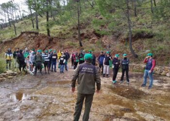 Unos 2.500 voluntarios comienzan otras fase de reforestación de Sierra Bermeja con la iniciativa Cascos Verdes