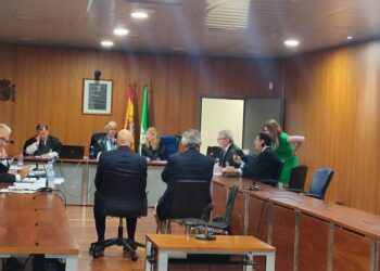 El exalcalde de Marbella reconoce delitos de fraude y prevaricación por operaciones urbanísticas