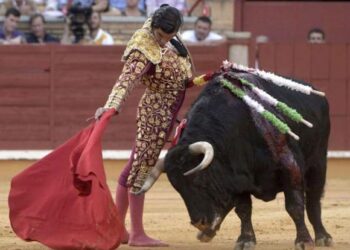 PP y Vox aprueban la adhesión de Fuengirola a la Red de Municipios Taurinos de Andalucía