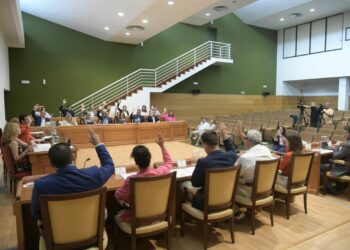 El pleno de Torremolinos elimina la tasa por emisión del empadronamiento