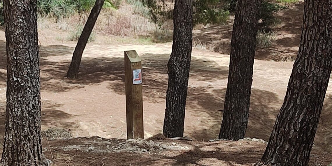 Unos 250 escolares de Torremolinos participan en un circuito de orientación por el Pinar de los Manantiales