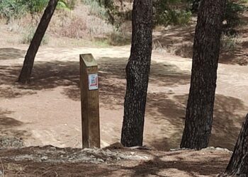 Unos 250 escolares de Torremolinos participan en un circuito de orientación por el Pinar de los Manantiales