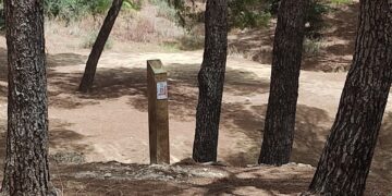 Unos 250 escolares de Torremolinos participan en un circuito de orientación por el Pinar de los Manantiales