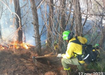 Asciende a 300 el número de desalojados por el incendio en Mijas