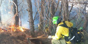 Asciende a 300 el número de desalojados por el incendio en Mijas