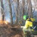 Asciende a 300 el número de desalojados por el incendio en Mijas