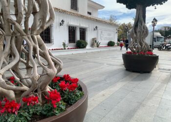 Mijas planta 9.000 flores ornamentales para su decoración navideña