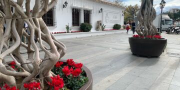 Mijas planta 9.000 flores ornamentales para su decoración navideña