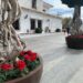 Mijas planta 9.000 flores ornamentales para su decoración navideña