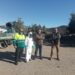 Cerca de 30 hectáreas de pinos se fumigarán contra la procesionaria en distintas zonas de Mijas