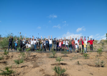 Puerto Banús reúne a medio centenar de voluntarios y planta 80 especies autóctonas en la Sierra de Mijas