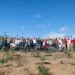 Puerto Banús reúne a medio centenar de voluntarios y planta 80 especies autóctonas en la Sierra de Mijas