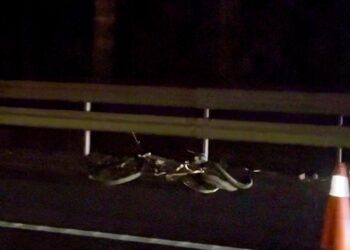 Atropellan a un ciclista en la A-7 a la altura de Estepona