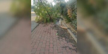 Vecinos del extrarradio de Estepona demandarán al Ayuntamiento por el deterioro de su calle