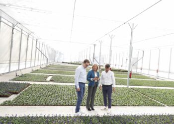 El vivero municipal de Las Chapas ha producido más de 70.000 ejemplares desde su entrada en funcionamiento