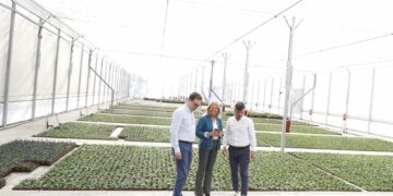 El vivero municipal de Las Chapas ha producido más de 70.000 ejemplares desde su entrada en funcionamiento