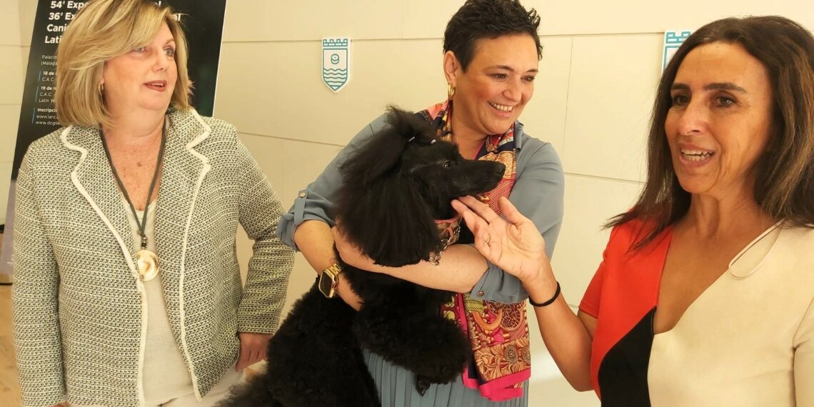 Más de 1.500 perros de 200 razas participan este fin de semana en Torremolinos en Expocan