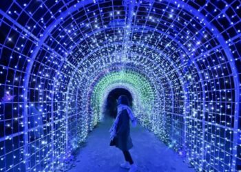 El Jardín Botánico de Málaga se llena de luces y de Ángeles por Navidad