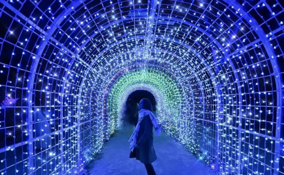 El Jardín Botánico de Málaga se llena de luces y de Ángeles por Navidad