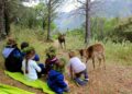 Desalojan definitivamente la Eco Reserva de Ojén