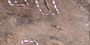 Exponen las reliquias encontradas bajo la necrópolis del Hotel El Fuerte de Marbella