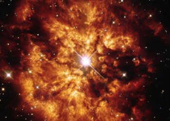 Alimentación, Inteligencia Artificial y el origen del Universo en la nueva edición de Marcientífica