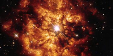 Alimentación, Inteligencia Artificial y el origen del Universo en la nueva edición de Marcientífica