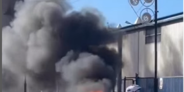 Un vehículo sale ardiendo en Las Lagunas de Mijas