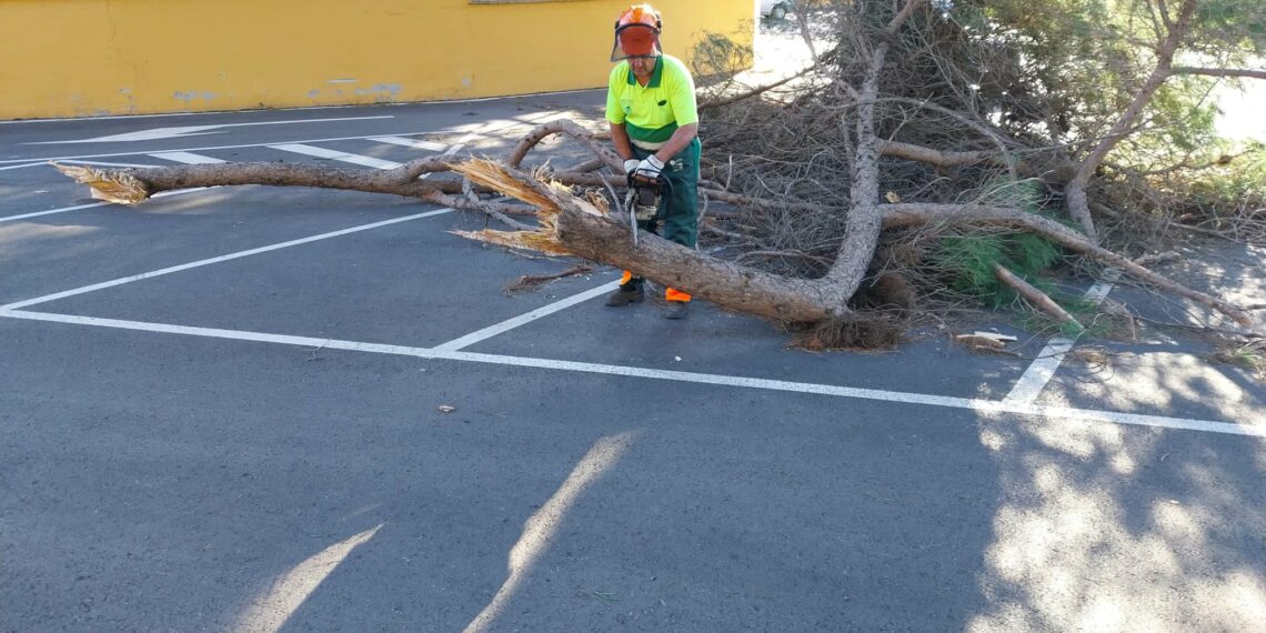 Marbella registra más de 60 incidencias ocasionadas por las fuertes rachas de viento el pasado miércoles