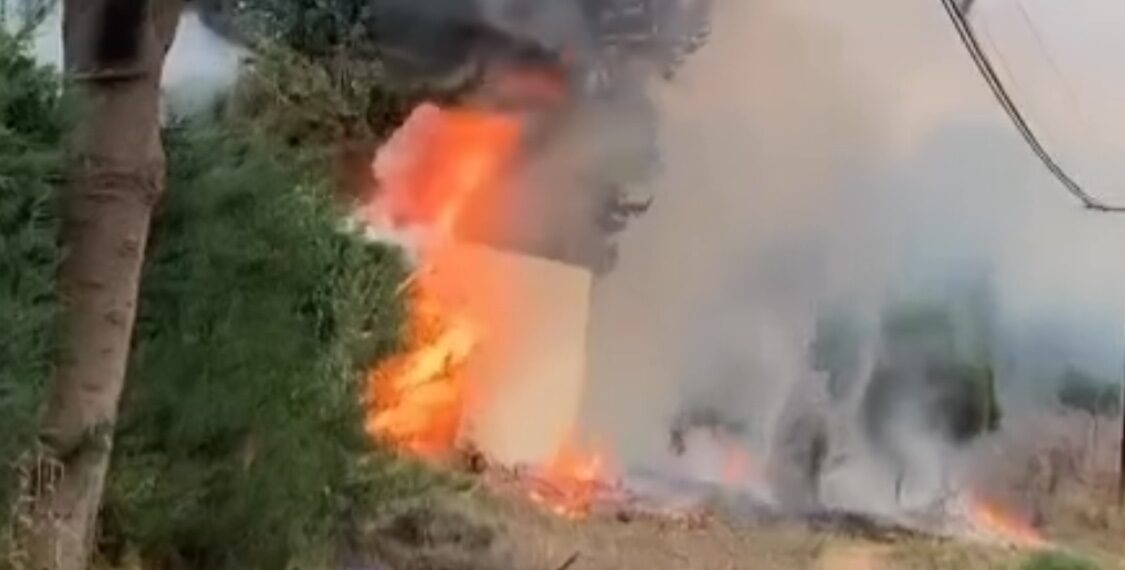 Extinguen un incendio en una zona de vegetación cercana a una urbanización de La Cala de Mijas