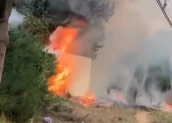 Extinguen un incendio en una zona de vegetación cercana a una urbanización de La Cala de Mijas